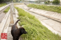 20100312_22