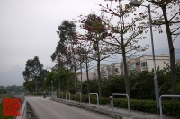 20100312_26