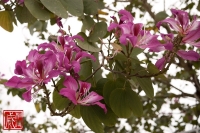 20100317_04