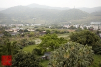 20100317_05