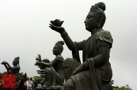 20100403_16