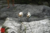 20100724_04