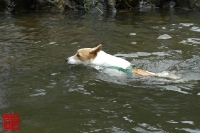 20100724_07