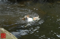 20100724_09