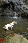 20100724_12