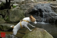 20100724_20