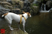 20100724_23