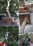 201009Phuket_05