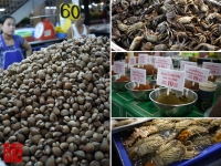 201009Phuket_16