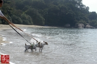 20101107-02