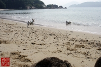 20101107-04