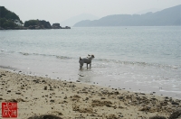 20101107-07