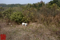 20100109-07