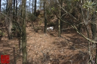 20100109-14
