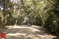 20110206-06