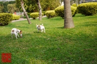 20100227_06