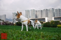 20100227_11