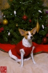 08XMAS08