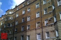 2010-2-11