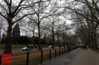 2010-2-12